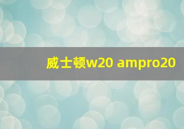 威士顿w20 ampro20